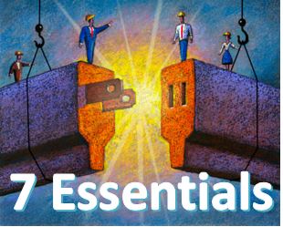 7 Must Dos Strategy Execution